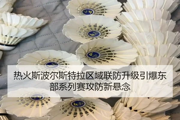 热火斯波尔斯特拉区域联防升级引爆东部系列赛攻防新悬念